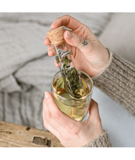 Infuseur à thé en verre GreenMa